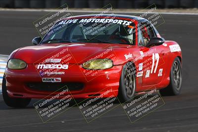 media/Jan-25-2025-CalClub SCCA (Sat) [[03c98a249e]]/Race 4/